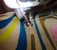 Brother Innov-Is XV Sewing & Embroidery Machine Sewing Machine 5