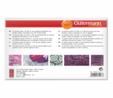 Gutermann 734023_2 | Cotton No.30, 12 x 300m: 2 | Thread Set  3